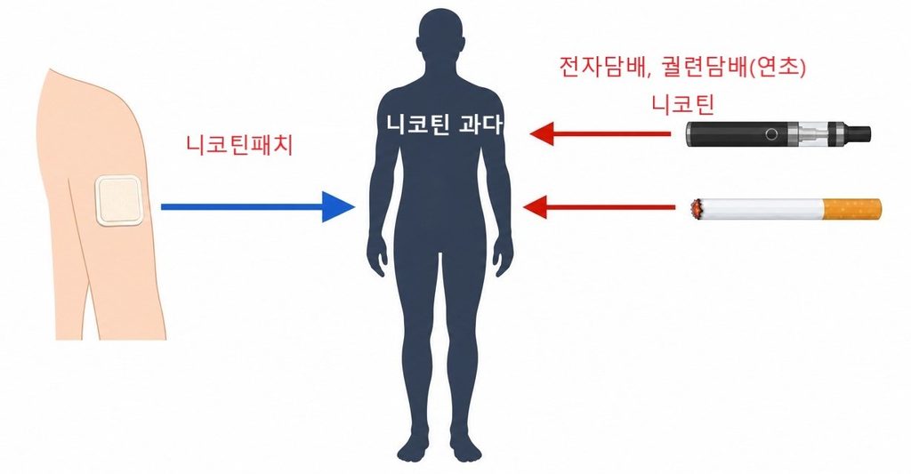 니코틴패치와 담배의 니코틴이 합쳐지면 우리 몸은 순환이 안돼요.