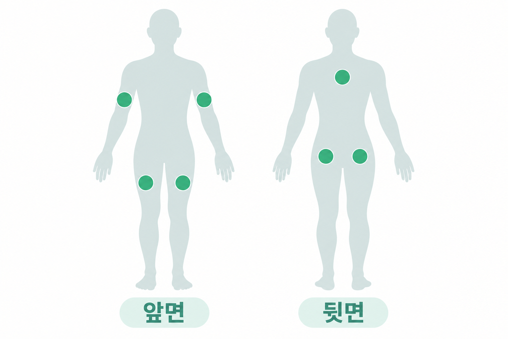니코틴패치를 붙일 수 있는 여러 부위 — 팔, 허벅지, 엉덩이, 등, 어깨를 표시한 신체 앞뒤 그림